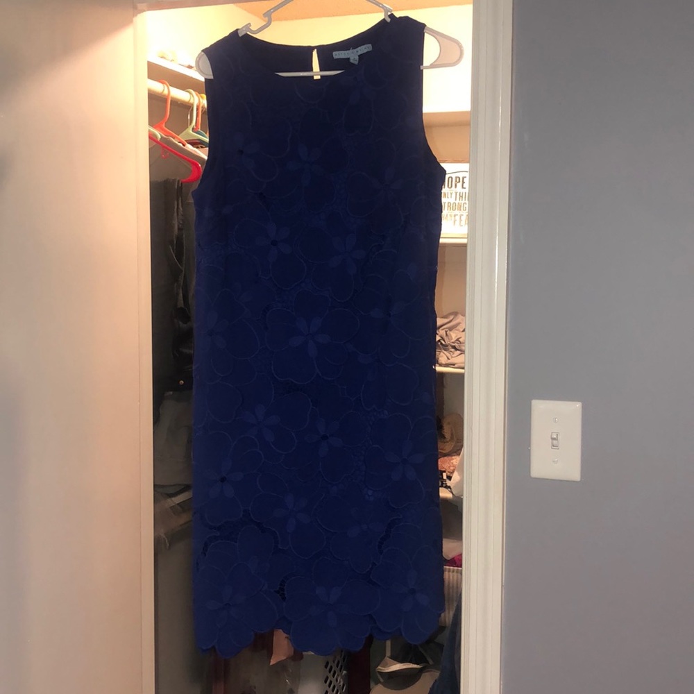 Worn once Antonio melani royal blue floral dress